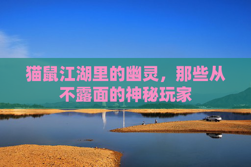 猫鼠江湖里的幽灵，那些从不露面的神秘玩家