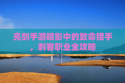 亮剑手游暗影中的致命猎手,刺客职业全攻略 亮剑手游暗影中的致命猎手,刺客职业全攻略
