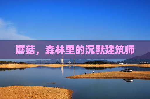 蘑菇，森林里的沉默建筑师