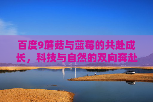 百度9蘑菇与蓝莓的共赴成长,科技与自然的双向奔赴 百度9蘑菇与蓝莓的共赴成长,科技与自然的双向奔赴