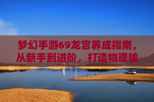 梦幻手游69龙宫养成指南,从新手到进阶,打造物理输出王者 梦幻手游69龙宫养成指南,从新手到进阶,打造物理输出王者
