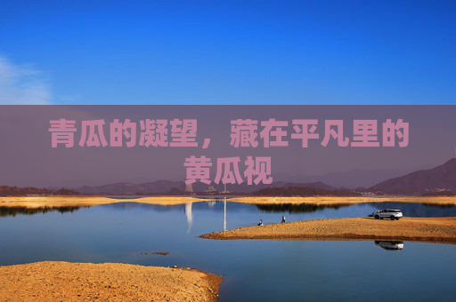 青瓜的凝望，藏在平凡里的黄瓜视