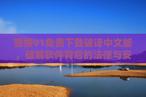 警惕91免费下载破译中文版,破解软件背后的法律与安全陷阱 警惕91免费下载破译中文版,破解软件背后的法律与安全陷阱
