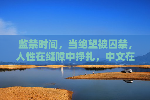 监禁时间,当绝望被囚禁,人性在缝隙中挣扎,中文在线观看指南 监禁时间,当绝望被囚禁,人性在缝隙中挣扎,中文在线观看指南