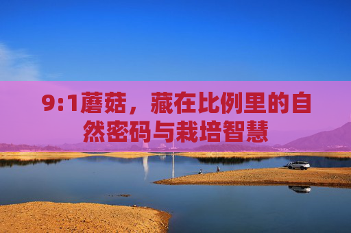 9:1蘑菇,藏在比例里的自然密码与栽培智慧 9:1蘑菇,藏在比例里的自然密码与栽培智慧