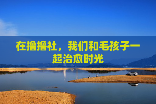 在撸撸社，我们和毛孩子一起治愈时光
