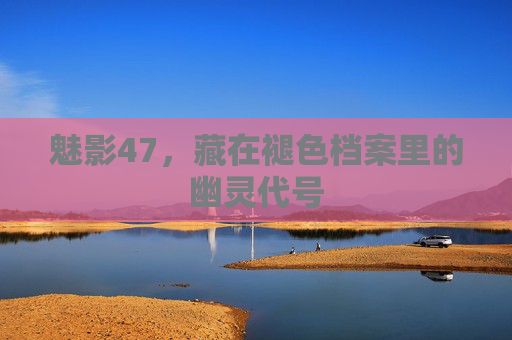 魅影47,藏在褪色档案里的幽灵代号 魅影47,藏在褪色档案里的幽灵代号