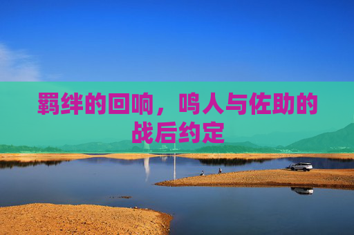 羁绊的回响,鸣人与佐助的战后约定 羁绊的回响,鸣人与佐助的战后约定