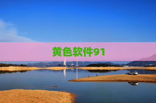 黄色软件91 黄色软件91