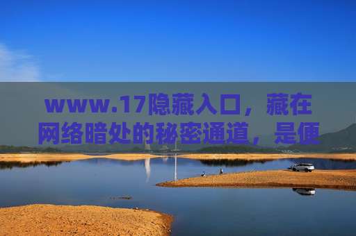 www.17隐藏入口，藏在网络暗处的秘密通道，是便利还是陷阱？