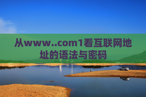 从www..com1看互联网地址的语法与密码 从www..com1看互联网地址的语法与密码