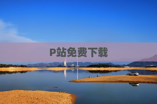 P站免费下载