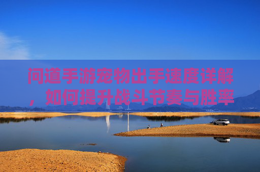 问道手游宠物出手速度详解，如何提升战斗节奏与胜率？