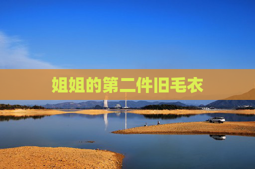 姐姐的第二件旧毛衣 姐姐的第二件旧毛衣