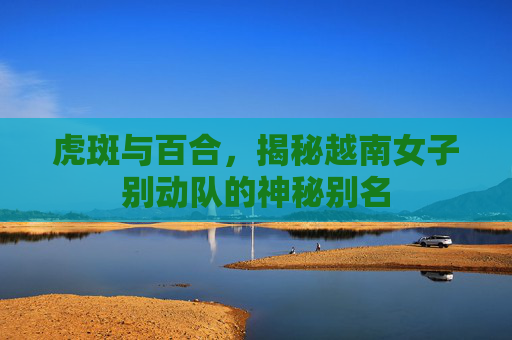 虎斑与百合,揭秘越南女子别动队的神秘别名 虎斑与百合,揭秘越南女子别动队的神秘别名