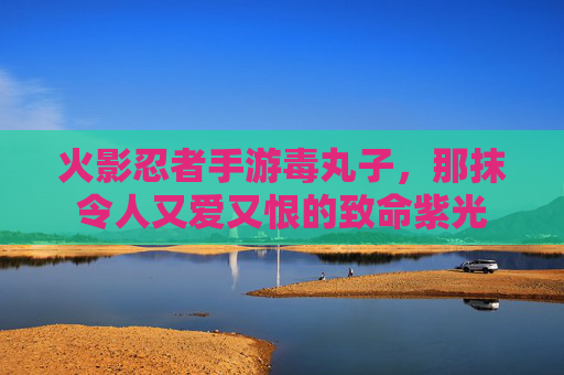 火影忍者手游毒丸子，那抹令人又爱又恨的致命紫光