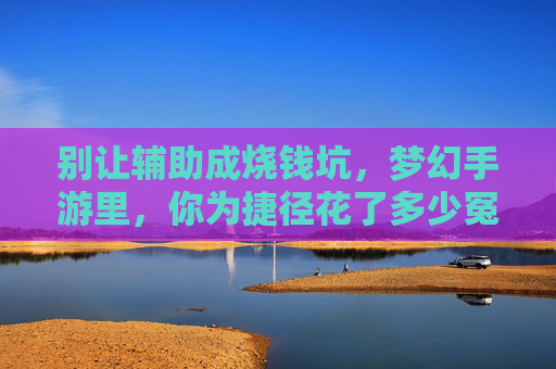 别让辅助成烧钱坑,梦幻手游里,你为捷径花了多少冤枉钱? 别让辅助成烧钱坑,梦幻手游里,你为捷径花了多少冤枉钱?