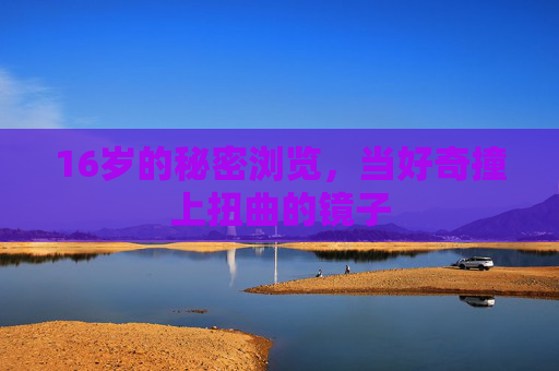 16岁的秘密浏览,当好奇撞上扭曲的镜子 16岁的秘密浏览,当好奇撞上扭曲的镜子