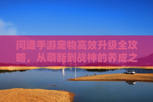 问道手游宠物高效升级全攻略，从萌新到战神的养成之路