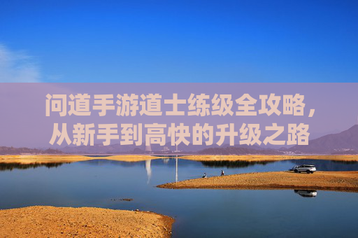 问道手游道士练级全攻略，从新手到高快的升级之路