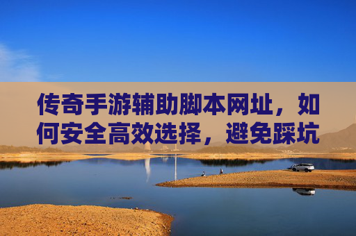传奇手游辅助脚本网址,如何安全高效选择,避免踩坑指南 传奇手游辅助脚本网址,如何安全高效选择,避免踩坑指南