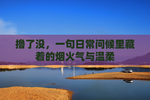 撸了没，一句日常问候里藏着的烟火气与温柔