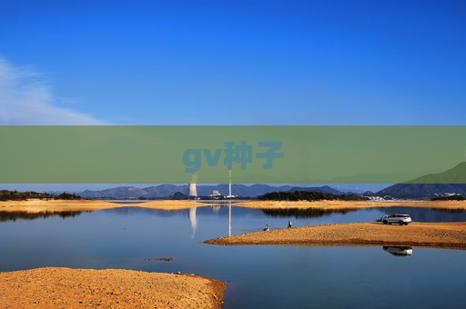 gv种子 gv种子