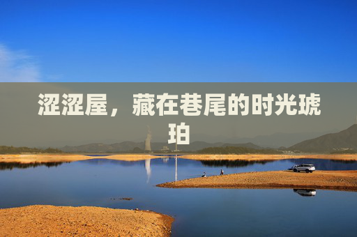 涩涩屋,藏在巷尾的时光琥珀 涩涩屋,藏在巷尾的时光琥珀