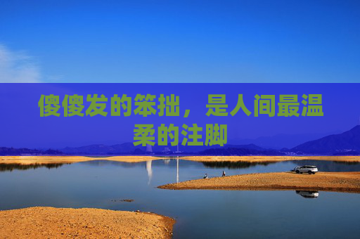 傻傻发的笨拙,是人间最温柔的注脚 傻傻发的笨拙,是人间最温柔的注脚