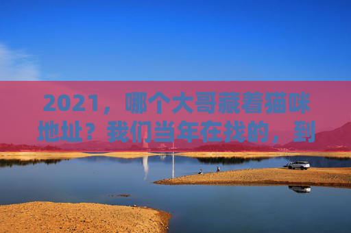 2021，哪个大哥藏着猫咪地址？我们当年在找的，到底是什么？