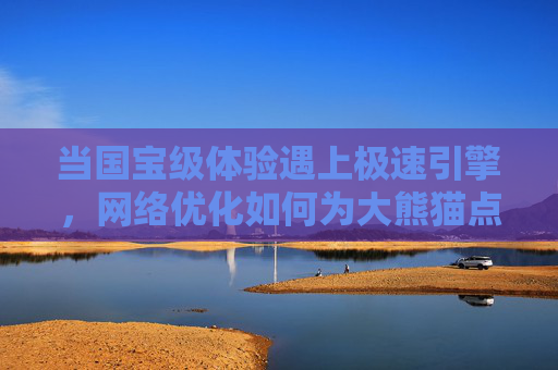当国宝级体验遇上极速引擎，网络优化如何为大熊猫点搜注入加速度？