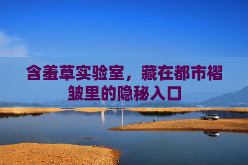 含羞草实验室,藏在都市褶皱里的隐秘入口 含羞草实验室,藏在都市褶皱里的隐秘入口