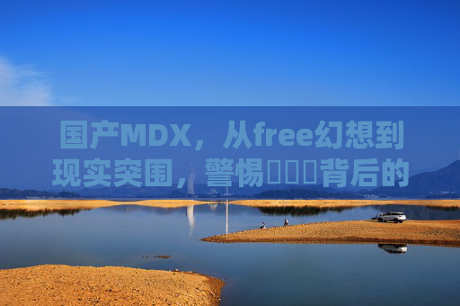 国产MDX，从free幻想到现实突围，警惕❌❌❌背后的陷阱