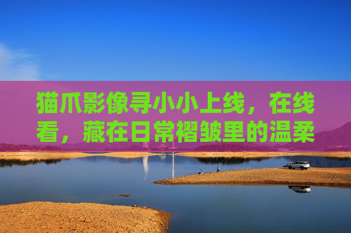 猫爪影像寻小小上线,在线看,藏在日常褶皱里的温柔光 猫爪影像寻小小上线,在线看,藏在日常褶皱里的温柔光