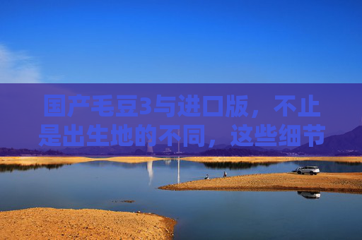 国产毛豆3与进口版,不止是出生地的不同,这些细节差距大 国产毛豆3与进口版,不止是出生地的不同,这些细节差距大