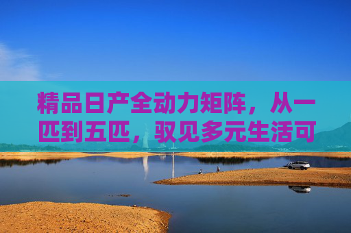 精品日产全动力矩阵,从一匹到五匹,驭见多元生活可能 精品日产全动力矩阵,从一匹到五匹,驭见多元生活可能