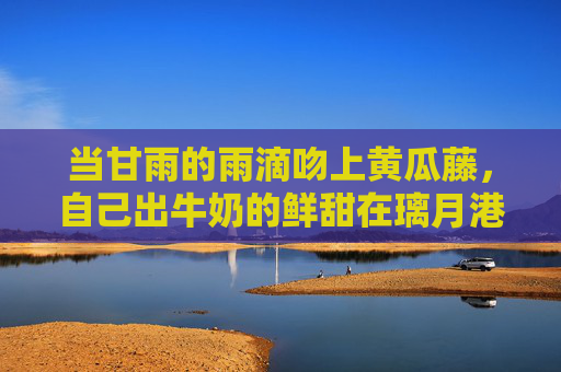 当甘雨的雨滴吻上黄瓜藤，自己出牛奶的鲜甜在璃月港酿成诗