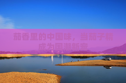 茄香里的中国味,当茄子精成为国潮新宠 茄香里的中国味,当茄子精成为国潮新宠