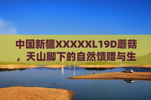 中国新疆XXXXXL19D蘑菇,天山脚下的自然馈赠与生命密码 中国新疆XXXXXL19D蘑菇,天山脚下的自然馈赠与生命密码