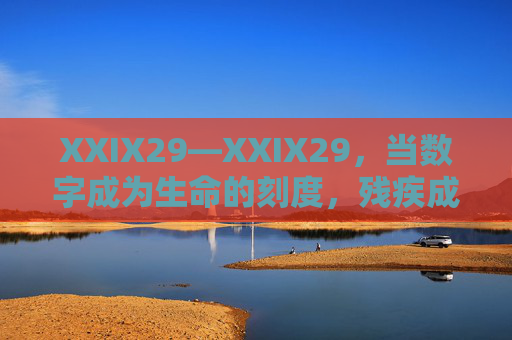 XXIX29—XXIX29，当数字成为生命的刻度，残疾成为另一种存在