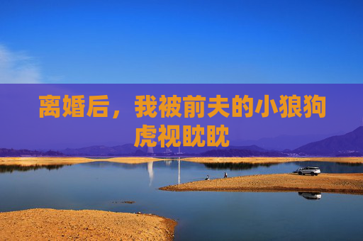 离婚后,我被前夫的小狼狗虎视眈眈 离婚后,我被前夫的小狼狗虎视眈眈
