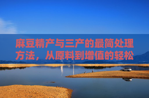 麻豆精产与三产的最简处理方法,从原料到增值的轻松路径 麻豆精产与三产的最简处理方法,从原料到增值的轻松路径