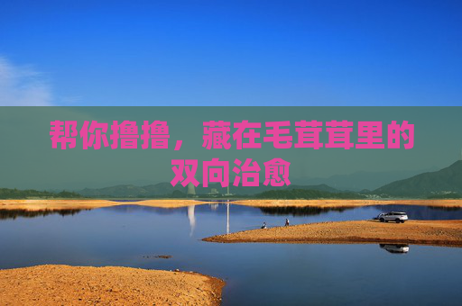 帮你撸撸,藏在毛茸茸里的双向治愈 帮你撸撸,藏在毛茸茸里的双向治愈