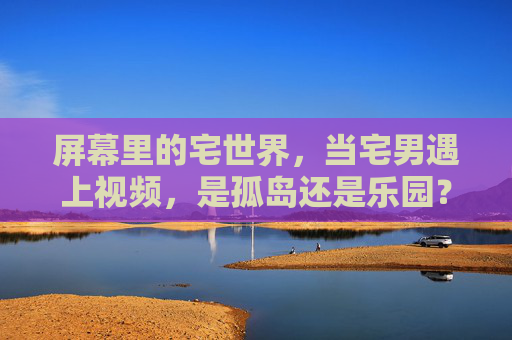 屏幕里的宅世界,当宅男遇上视频,是孤岛还是乐园? 屏幕里的宅世界,当宅男遇上视频,是孤岛还是乐园?