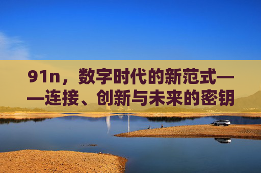 91n,数字时代的新范式——连接、创新与未来的密钥 91n,数字时代的新范式——连接、创新与未来的密钥