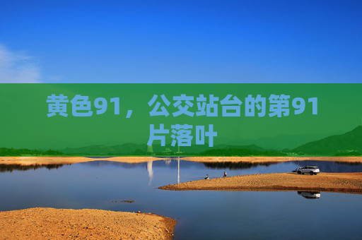 黄色91,公交站台的第91片落叶 黄色91,公交站台的第91片落叶