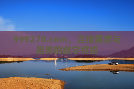 999270.com,连接需求与服务的数字枢纽 999270.com,连接需求与服务的数字枢纽