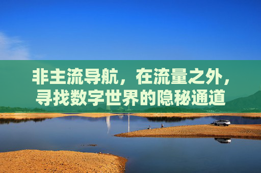 非主流导航,在流量之外,寻找数字世界的隐秘通道 非主流导航,在流量之外,寻找数字世界的隐秘通道
