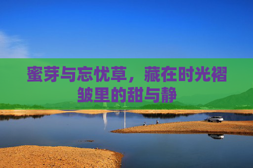 蜜芽与忘忧草,藏在时光褶皱里的甜与静 蜜芽与忘忧草,藏在时光褶皱里的甜与静