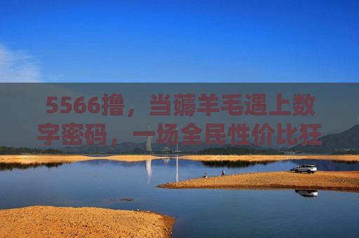 5566撸，当薅羊毛遇上数字密码，一场全民性价比狂欢的真相